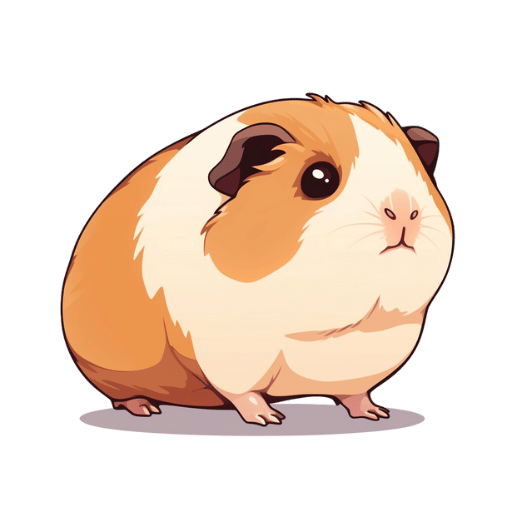 Porquinho-da-índia
