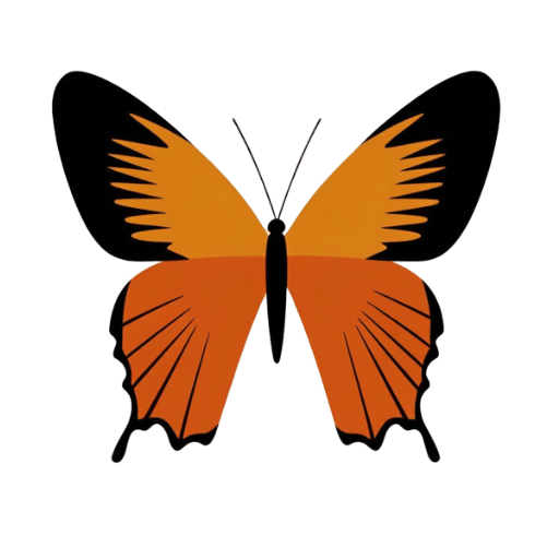 Borboleta laranja