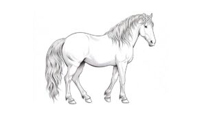 Desenho de Cavalo Para Colorir