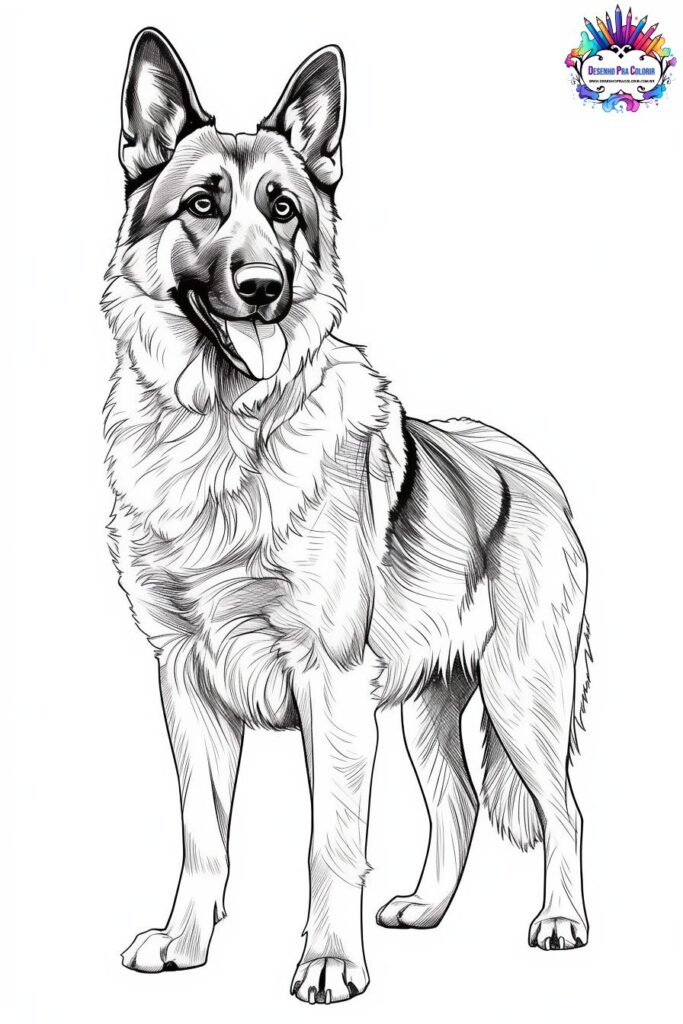 desenho para colorir cachorro pastor alemão