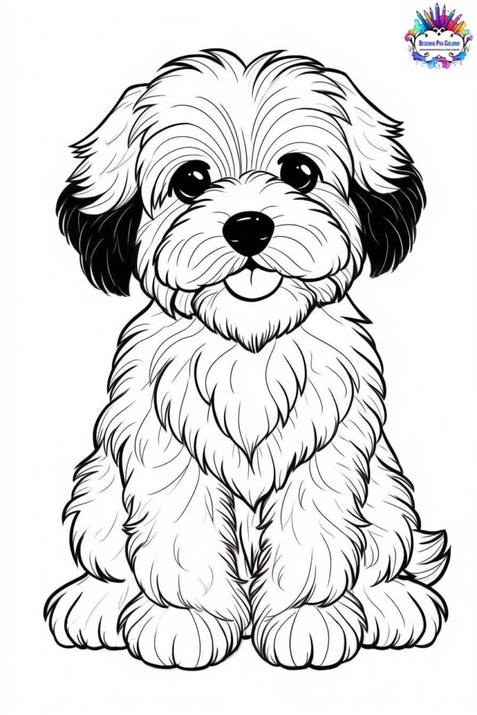 desenho para colorir cachorro shitzu
