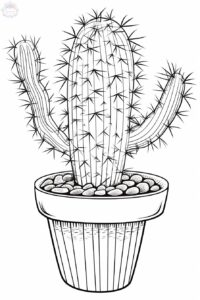 Cacto Para Colorir + De 25 Desenhos Para imprimir e Pintar