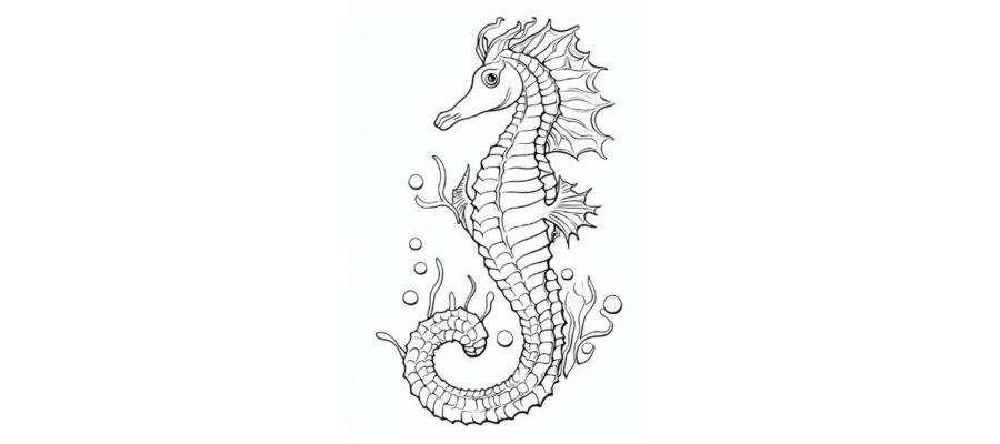 Desenho de Cavalo marinho para Colorir - Colorir.com