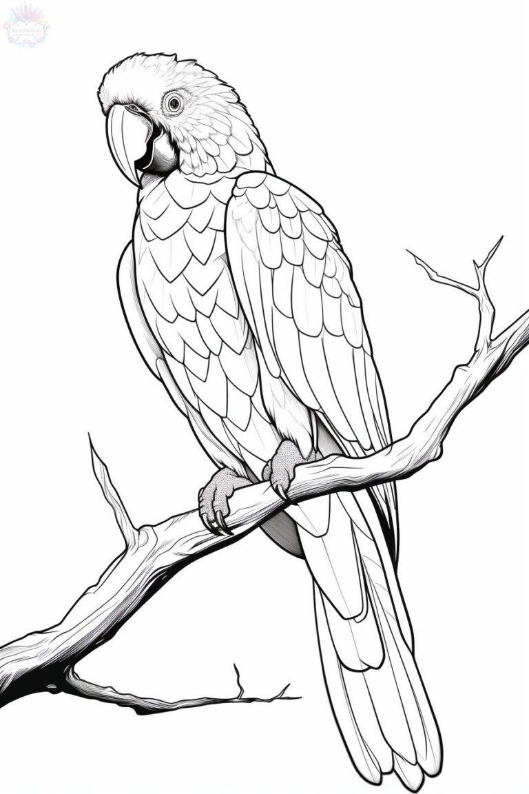 Arara Para Colorir + De 40 Desenhos Para Imprimir e Pintar